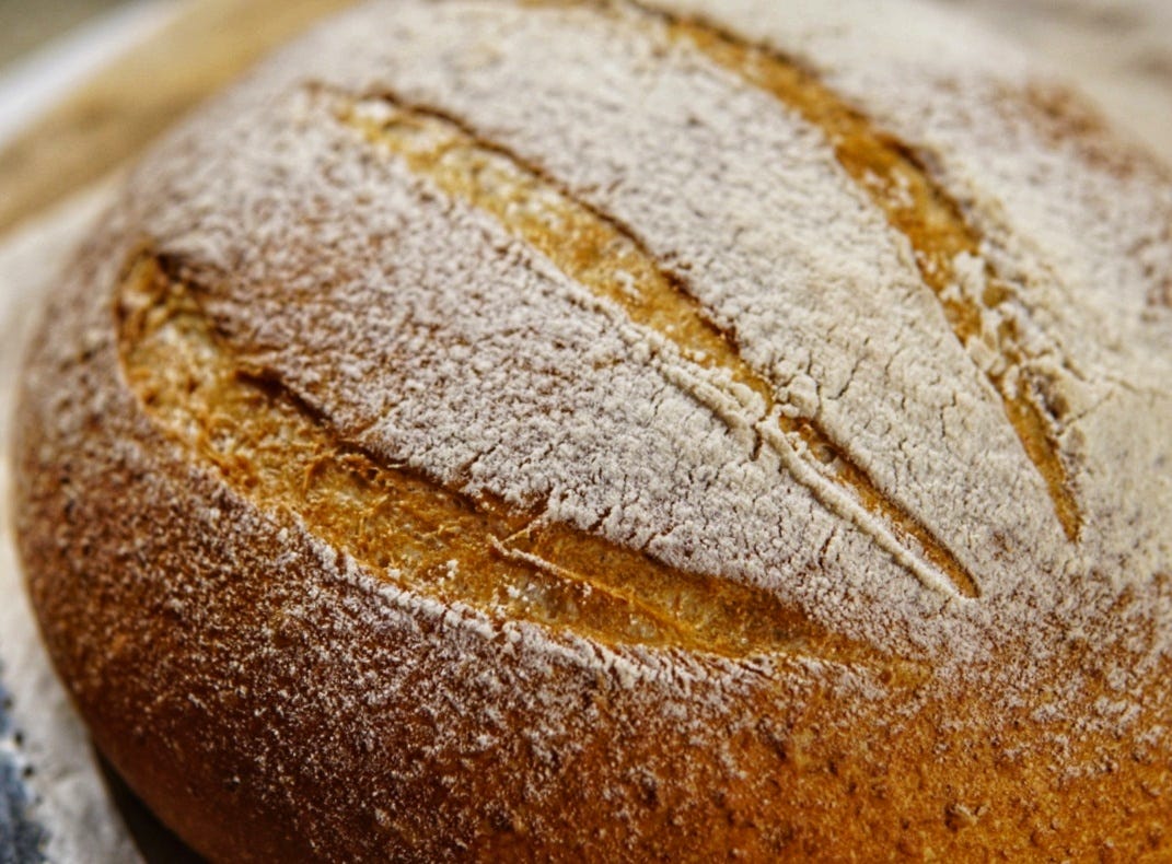 Steam Combi Recipe: Wheatmeal Boule